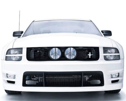 3dCarbon GT E-Style Grille Ford Mustang GT 05-09
