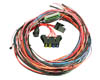 AEM EMS-4 96" Wiring Harness with Fuse & Relay Panel