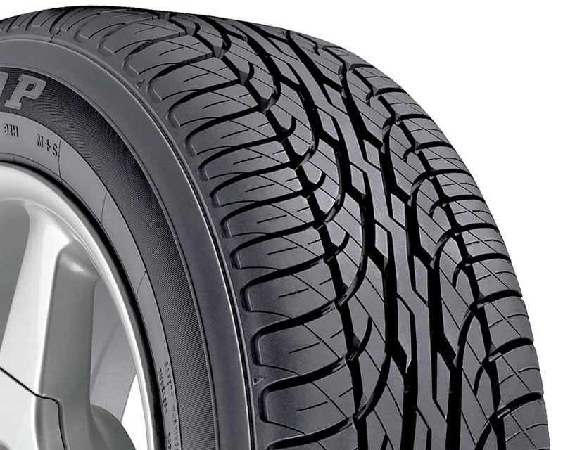 Dunlop Signature BSW Tires 205/60/16 91T BSW