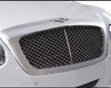 Mansory Chrome Radiator Grill Frame Bentley Continental Flying Spur 05+
