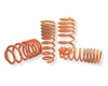 Neuspeed Race Springs Audi A4 Quattro 1.8T and V6 96-00