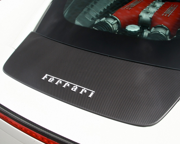 Oakley Design Carbon Fiber Lower Engine Cover Panel Ferrari 458 Italia 10+