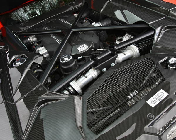 Oakley Design Carbon Fiber Engine Bay Cover Set Lamborghini Aventador 11+
