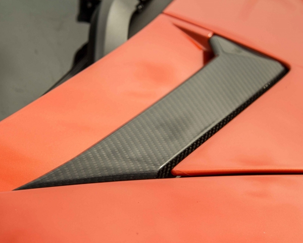 Oakley Design Carbon Hood Inserts Lamborghini Aventador LP760 11+
