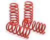 H&R Race Springs Acura TL 6cyl 04-08