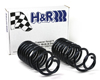 H&R Front Raising Springs Ford F150 2wd 09-12