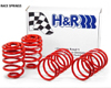 H&R Race Springs Ford Mustang GT 05-10