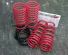 Tanabe Sustec 210 Lowering Springs Honda Civic Coupe/Sedan 92-00