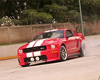 Unique Eleanor C Series Body Kit Ford Mustang 05-09